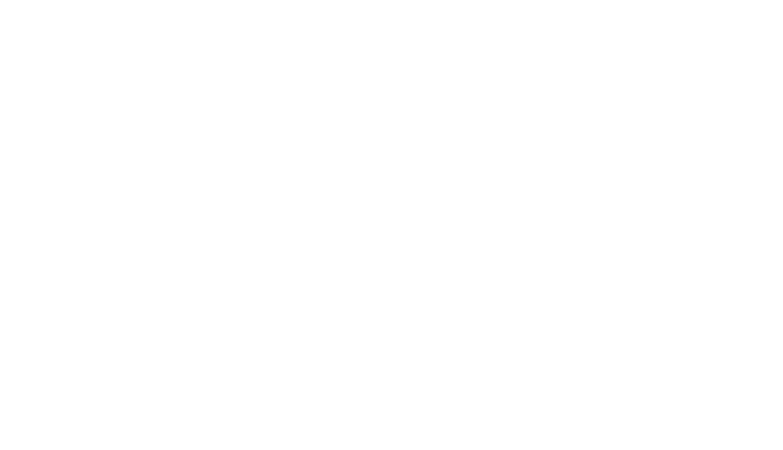 Turkish Doctor