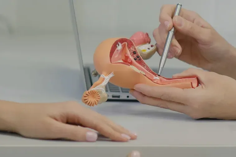 What Is Gynecology
